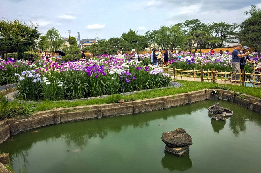 🌳 지광산 공원(치코잔 코엔) 이미지 8